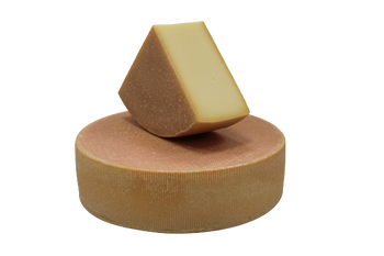 Ser Berg Rebell - Guffanti